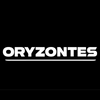 ORYZONTES logo
